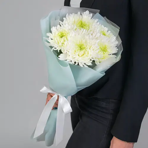 5 Игольчатых Хризантем