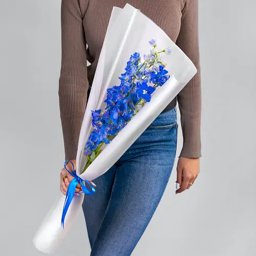 3 Синих Дельфиниума