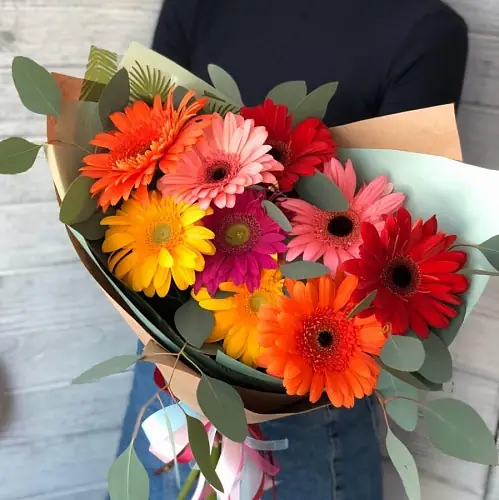 9 Разноцветных Гербер в упаковке