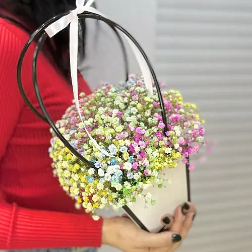 Гипсофила радужная в сумочке 