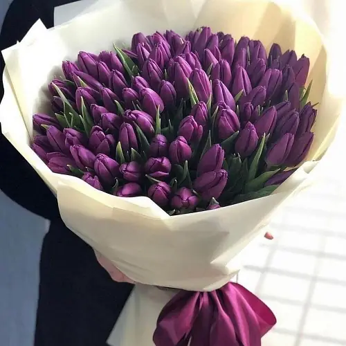 101 Яркий тюльпан