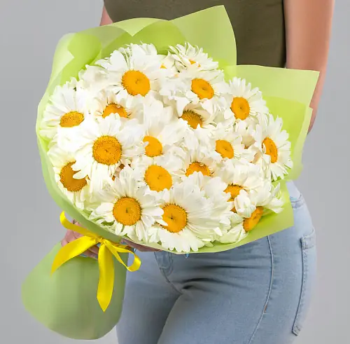 25 Крупных Ромашек в упаковке