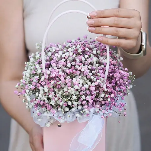 Нежная розовая гипсофила в сумке 