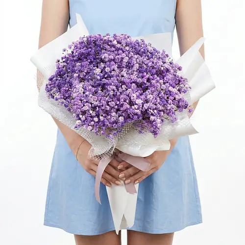 15 Фиолетовых Гипсофил