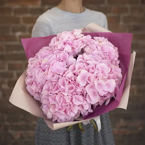 7 Розовых Гортензий