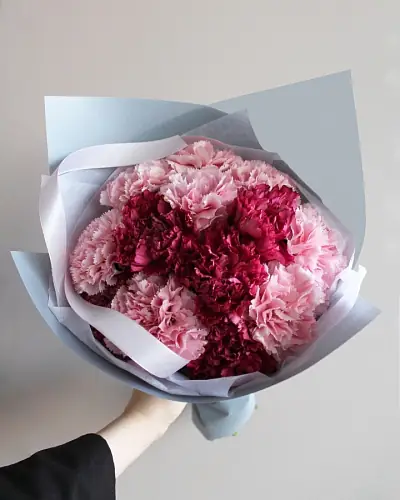 Композиция из розовых гвоздик в упаковке 