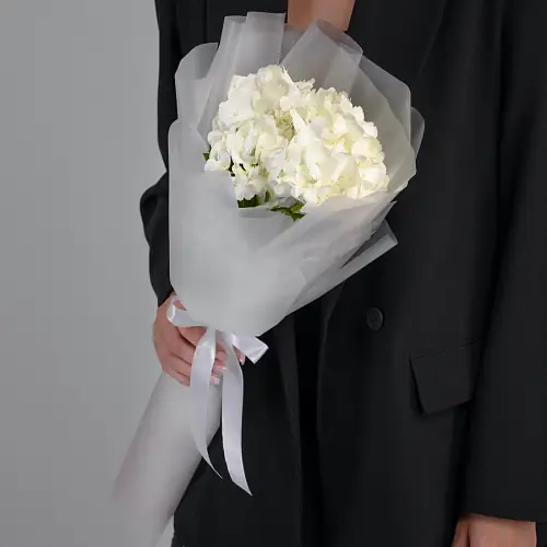 Букет "Белая Гортензия" в упаковке 