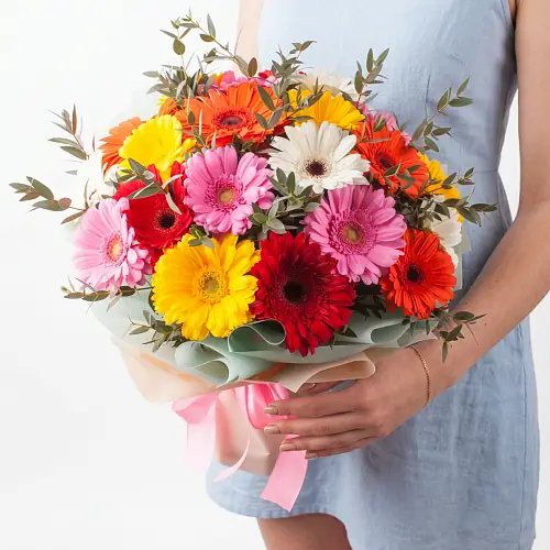 21 Разноцветная Гербера