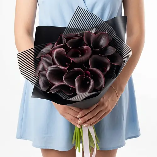 25 Бордовых Калл