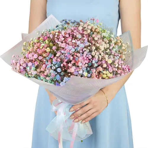 15 Радужных Гипсофил