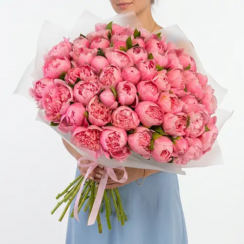 Букет из 51 пиона кораллового цвета в упаковке