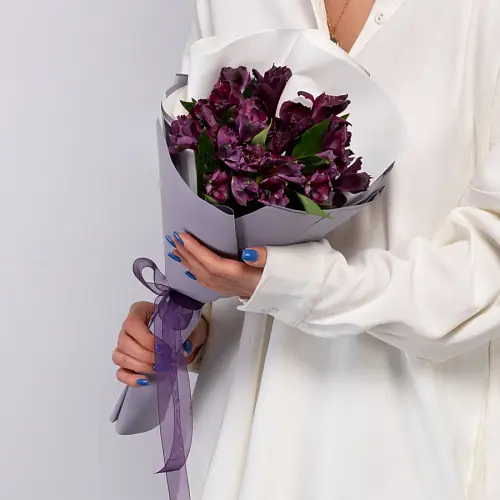 5 Фиалковых Альстромерий в упаковке