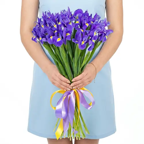 19 Синих Ирисов