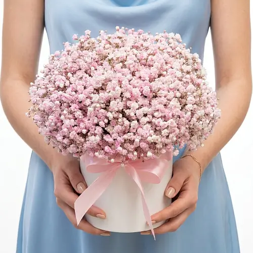 Нежная розовая гипсофила в шляпной коробке