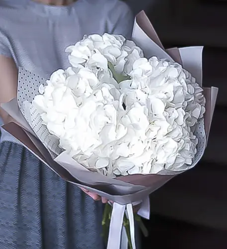 Букет из белых гортензий