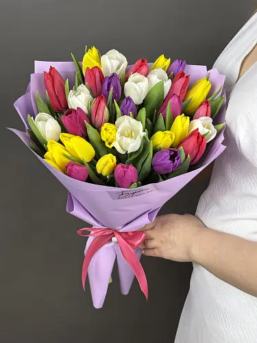 Тюльпаны голландские микс 31 шт.