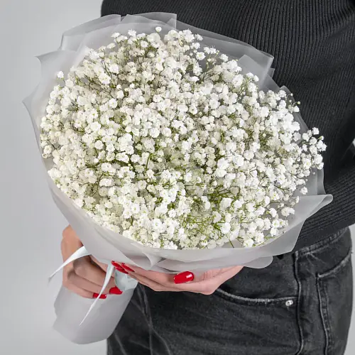 9 Белых Гипсофил 