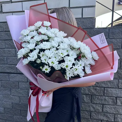 Большой гигант из Кустовой Хризантемы