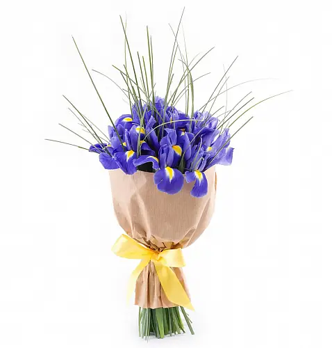 11 Ирисов в крафте