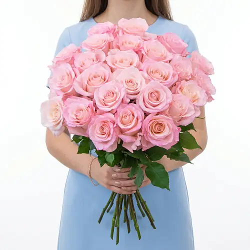Нежные розы Эквадор 25 шт