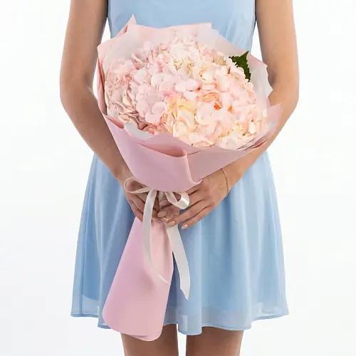 3 Розовые Гортензии в упаковке