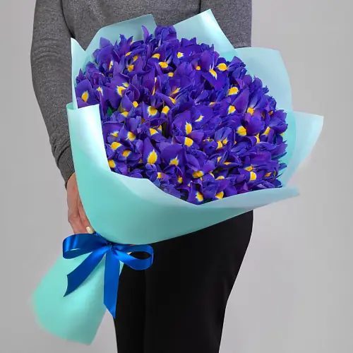 51 Синий Ирис в упаковке