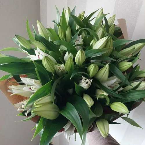 13 Лилий в крафте 