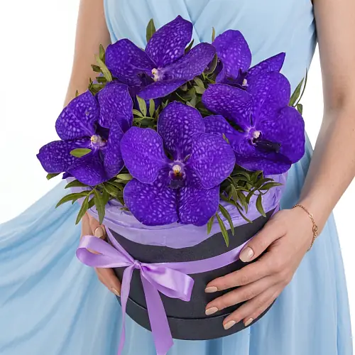 5 Синих Ванд в коробке