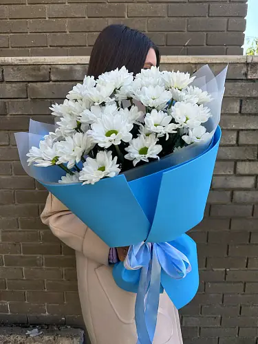 Букет живых цветов из 5 кустовых хризантем