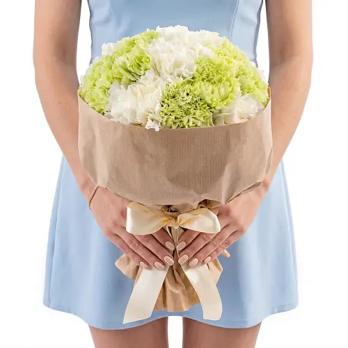 15 Снежных и Зеленых Гвоздик