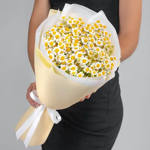 5 Кустовых Ромашек в упаковке