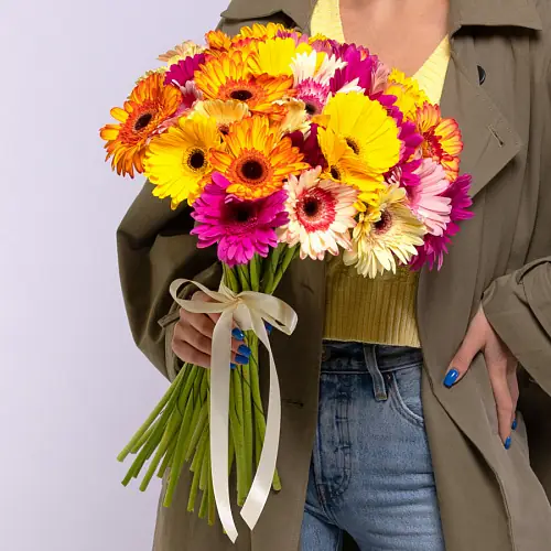 35 Гербер Микс под ленту 