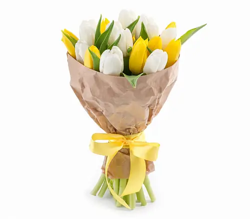  19 Белых и Желтых Тюльпанов