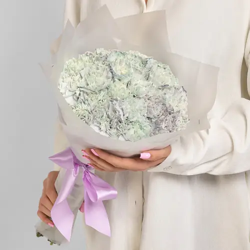 25 Голубых Гвоздик в упаковке 