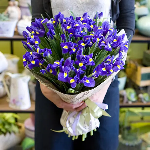 Букет из 51 ириса в упаковке
