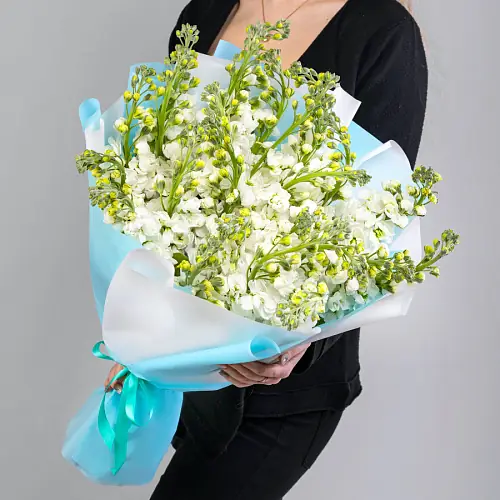 25 Белых Маттиол в упаковке 