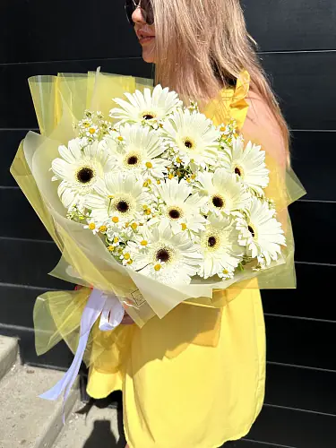 Герберы и матрикарии