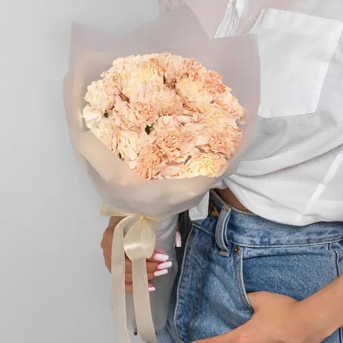 15 Коричневых Гвоздик