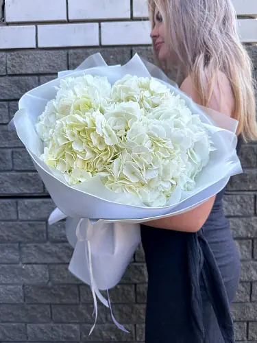 Букет живых цветов из 5 белых гортензий