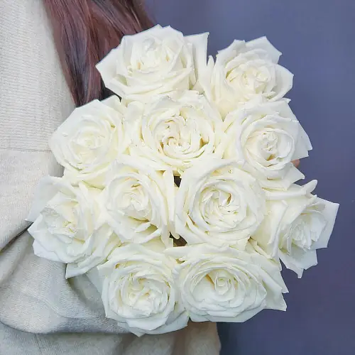 Букет из 11 премиальных белых роз 