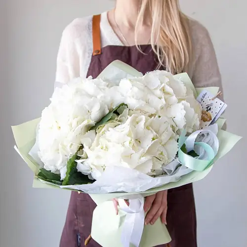 3 Снежные Гортензии