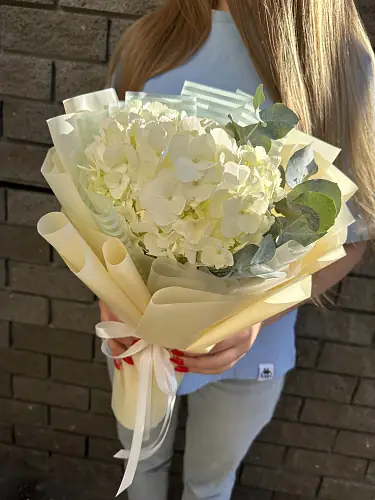 Белая гортензия с эвкалиптом