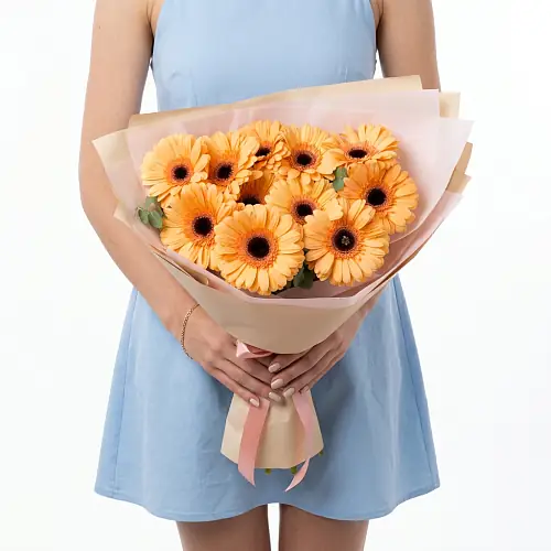 11 Оранжевых Гербер