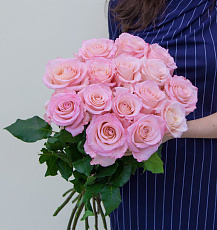 15 Элитных розовых роз (Эквадор)